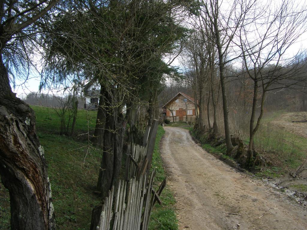 Guesthouse Kuzmanovic กูซา ภายนอก รูปภาพ