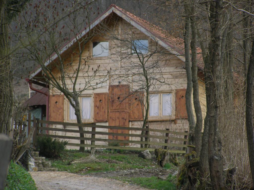 Guesthouse Kuzmanovic กูซา ภายนอก รูปภาพ