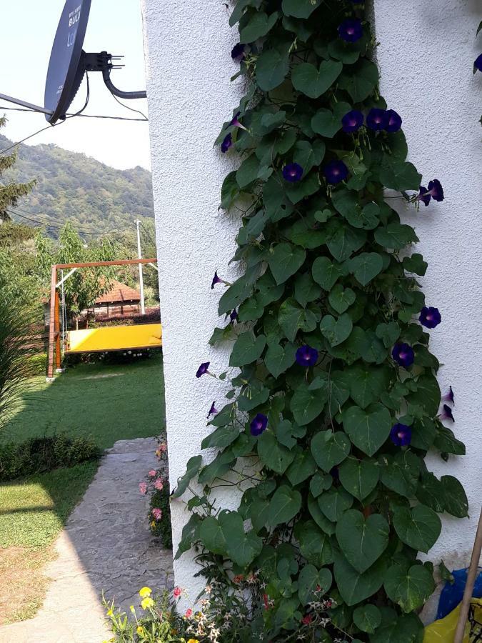 Guesthouse Kuzmanovic กูซา ภายนอก รูปภาพ