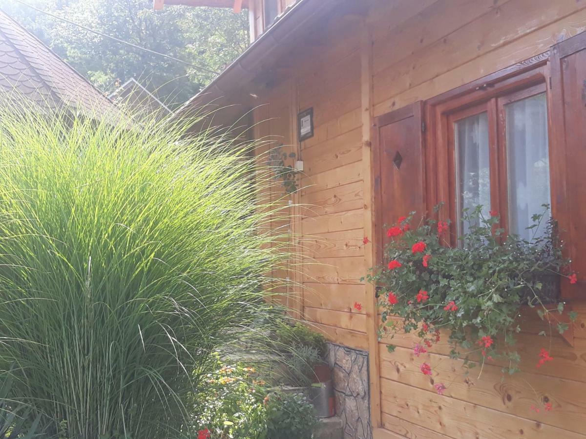 Guesthouse Kuzmanovic กูซา ภายนอก รูปภาพ