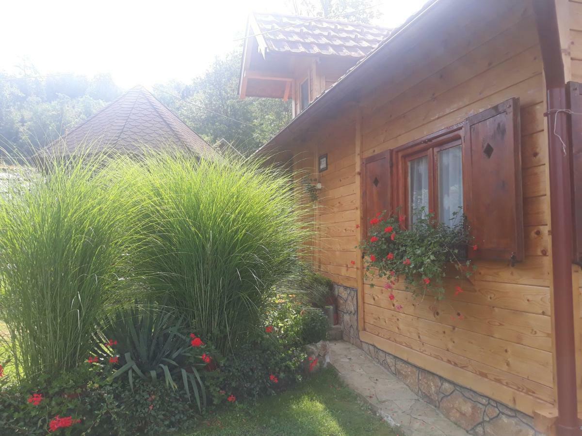 Guesthouse Kuzmanovic กูซา ภายนอก รูปภาพ